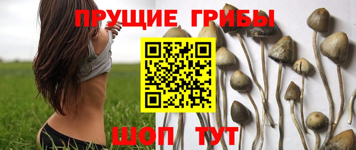 Псилоцибиновые грибы Magic Shrooms  где купить наркоту  Снежинск  Вход с VPN 